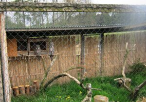 Vyjížďka na kole do ZOO Tábor 51