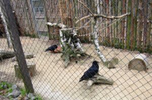 Vyjížďka na kole do ZOO Tábor 55