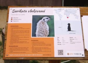 Vyjížďka na kole do ZOO Tábor 57