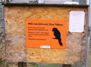 Vyjížďka na kole do ZOO Tábor 59