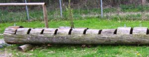 Vyjížďka na kole do ZOO Tábor 61