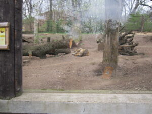 Zoopark Chomutov 2