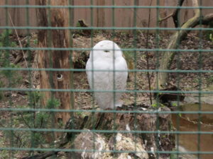Zoopark Chomutov 9