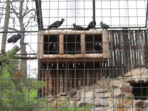 Zoopark Chomutov 12