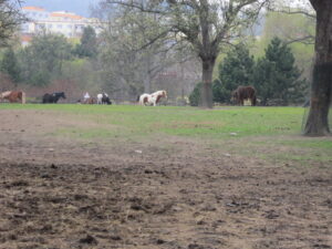 Zoopark Chomutov 17
