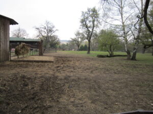 Zoopark Chomutov 18