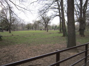 Zoopark Chomutov 22