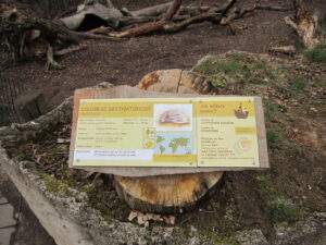 Zoopark Chomutov 23
