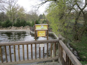 Zoopark Chomutov 26