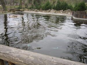 Zoopark Chomutov 27