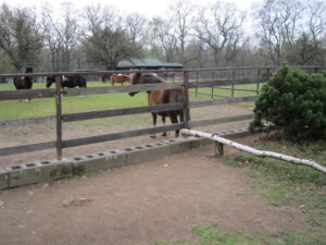 Zoopark Chomutov 38