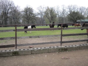 Zoopark Chomutov 39