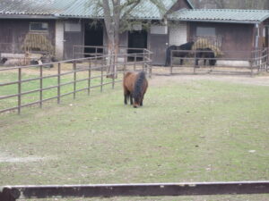 Zoopark Chomutov 41