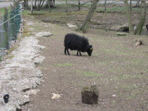 Zoopark Chomutov 48