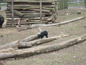 Zoopark Chomutov 50