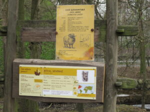 Zoopark Chomutov 51