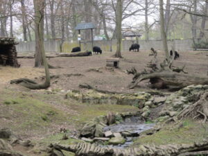 Zoopark Chomutov 52
