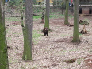 Zoopark Chomutov 53
