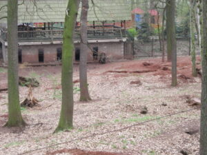 Zoopark Chomutov 54