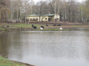 Zoopark Chomutov 56