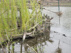 Zoopark Chomutov 57