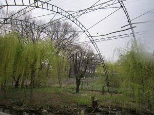 Zoopark Chomutov 59
