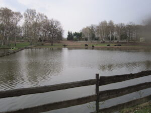 Zoopark Chomutov 63