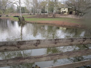 Zoopark Chomutov 66