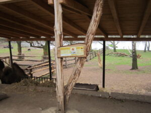Zoopark Chomutov 74