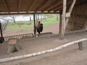 Zoopark Chomutov 75