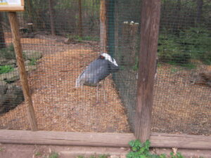 Zoopark Chomutov 76