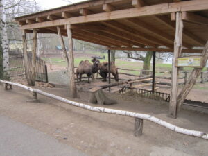 Zoopark Chomutov 78