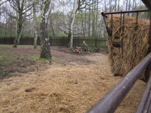 Zoopark Chomutov 80