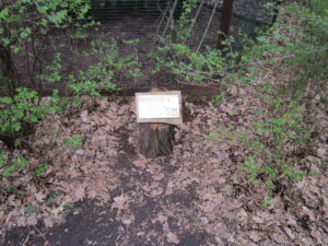 Zoopark Chomutov 88