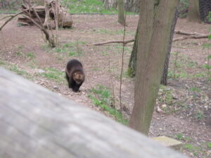 Zoopark Chomutov 90