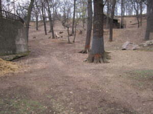 Zoopark Chomutov 92