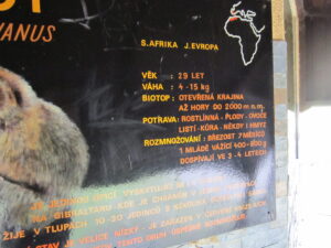 Zoopark Chomutov 98