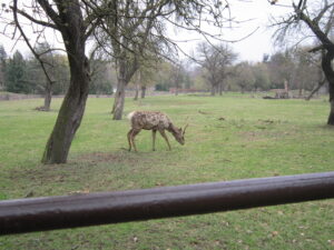 Zoopark Chomutov 105
