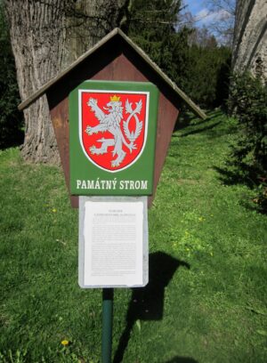Zruč nad Sázavou: muzeum panenek 11