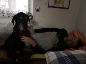 mef Lednová procházka po vojenských Brdech 10