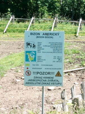 Přes Šumavu na kole: z Železné Rudy do Horní Plané za tři dny 13