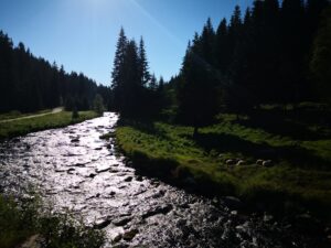 Přes Šumavu na kole: z Železné Rudy do Horní Plané za tři dny 30