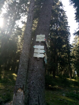 Odkudsi na Boubín a do Nového Údolí 4