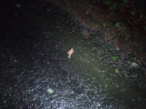 Z Liberce do Tanvaldu přes Jizerské hory: od deště ke slunci 2