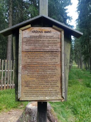Vimperk – Nové Údolí přes Boubín: tři srpnové dny na Šumavě 16
