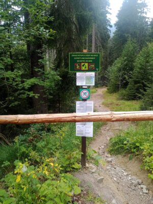 Vimperk – Nové Údolí přes Boubín: tři srpnové dny na Šumavě 19