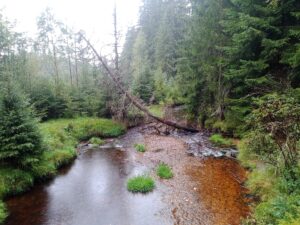 Vimperk – Nové Údolí přes Boubín: tři srpnové dny na Šumavě 30